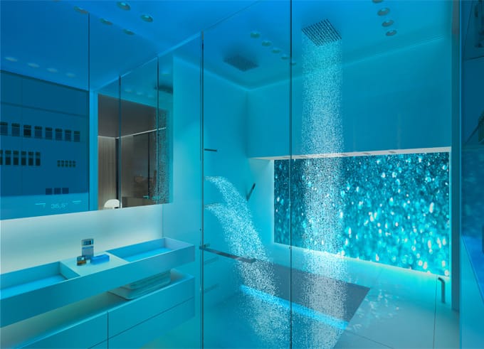 Wellness Spa Shower